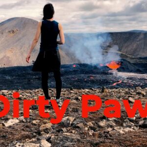 Dirty Paws – Of Monsters And Men covered by ITOI Akane