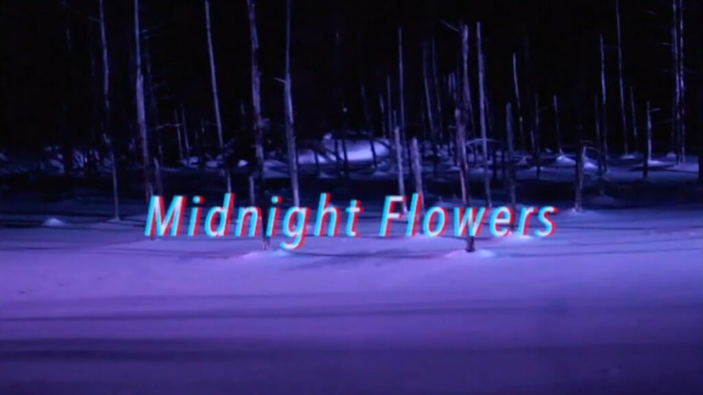 "Midnight Flowers" - Sensu Planet & The Howling Fish