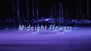 Midnight Flowers - Sensu Planet & The Howling Fish