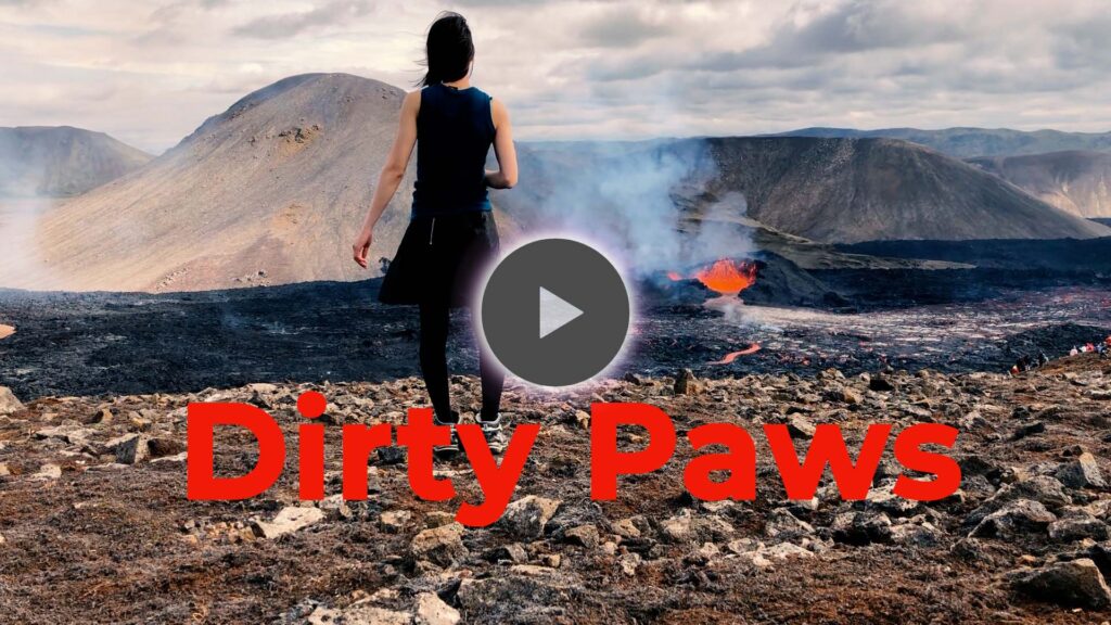 Dirty Paws - Of Monsters And Men gecovert von ITOI Akane