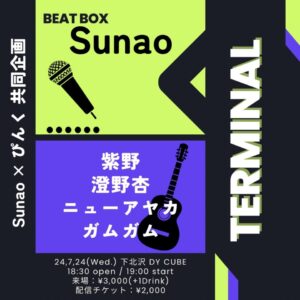 Read more about the article SUMINO Anne to perform at Shimokitazawa DY CUBE “TERMINAL” on July 24