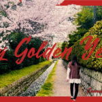 My Golden Years - The Lemon Twigs covered by ITOI Akane