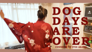 Mehr über den Artikel erfahren Dog Days Are Over – Florence + The Machine gecovert von ITOI Akane